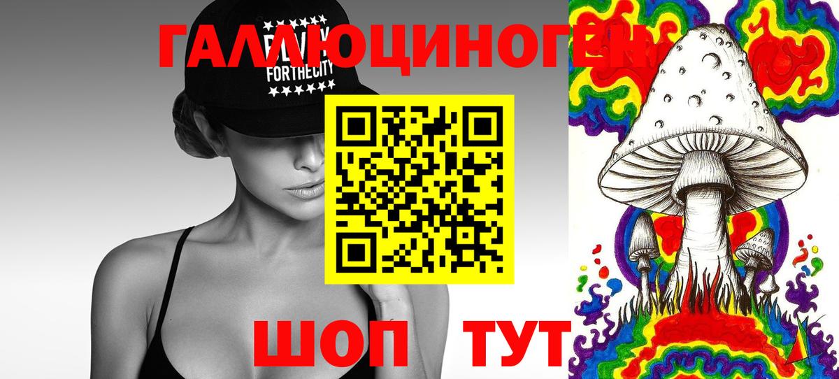 Псилоцибиновые грибы мицелий  Вход с VPN  Всеволожск 