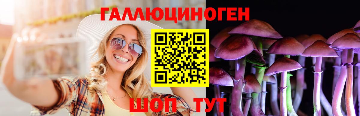 Псилоцибиновые грибы мухоморы Всеволожск